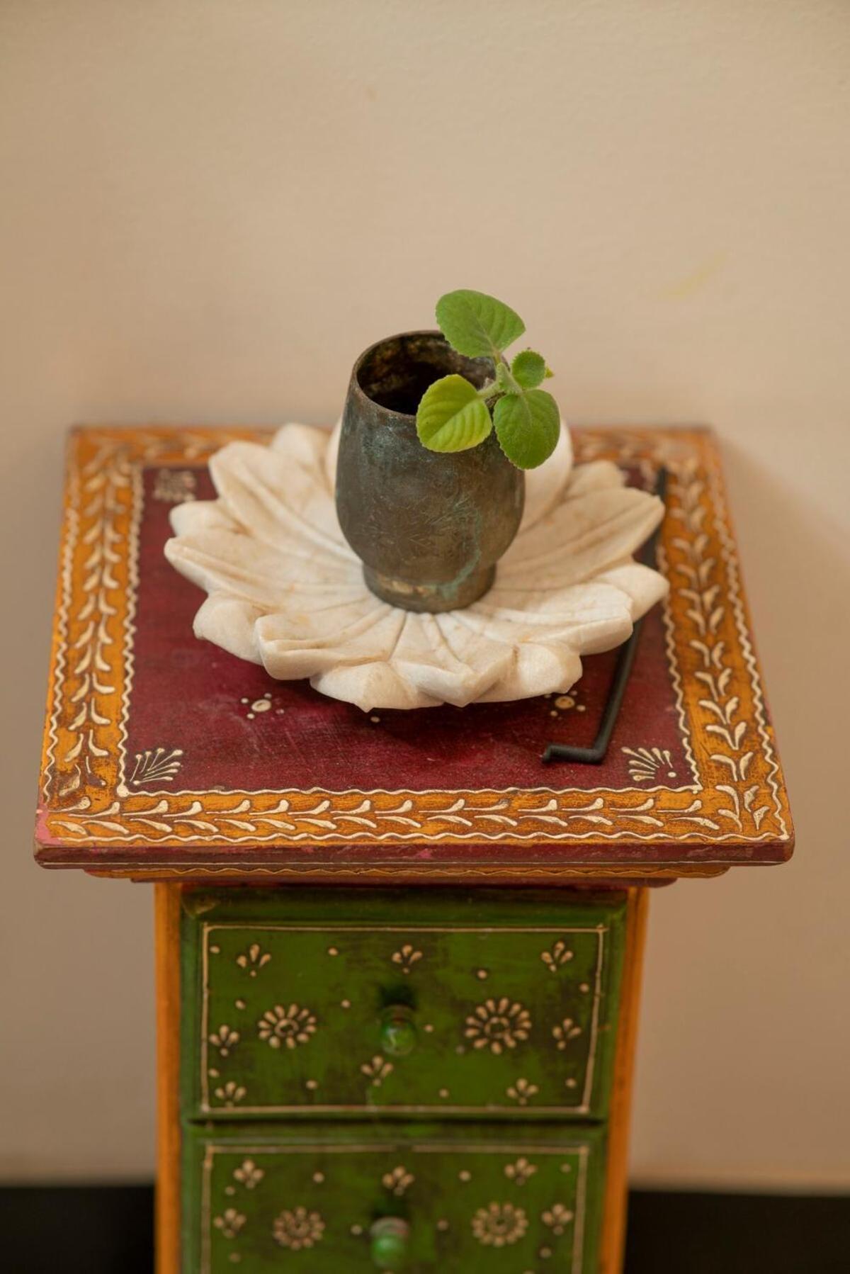 Santosh Villa - The House Of Antiques And Art Udaipur Eksteriør bilde